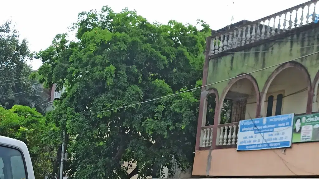 Jai Badminton Academy