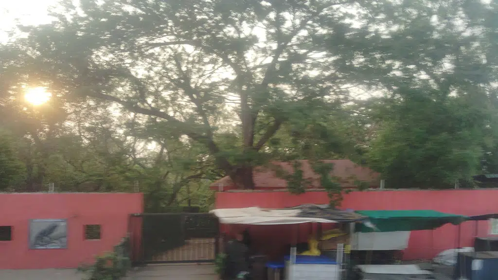 Madras Crocodile Bank