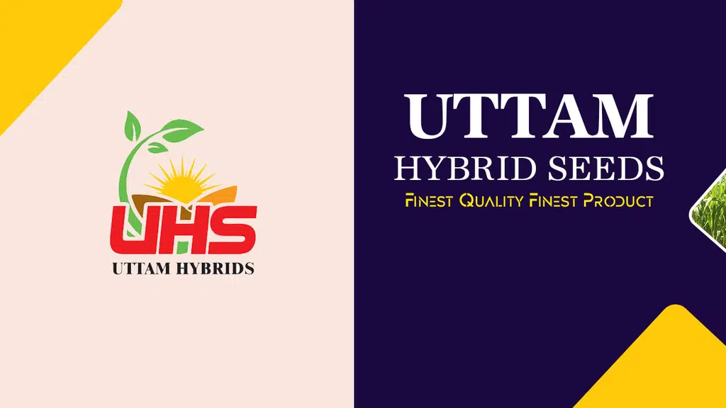 Uttam Hybrid Seeds