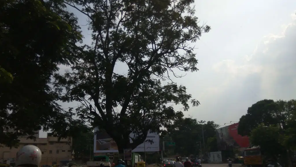 SNM Medical and Eye Care Centre