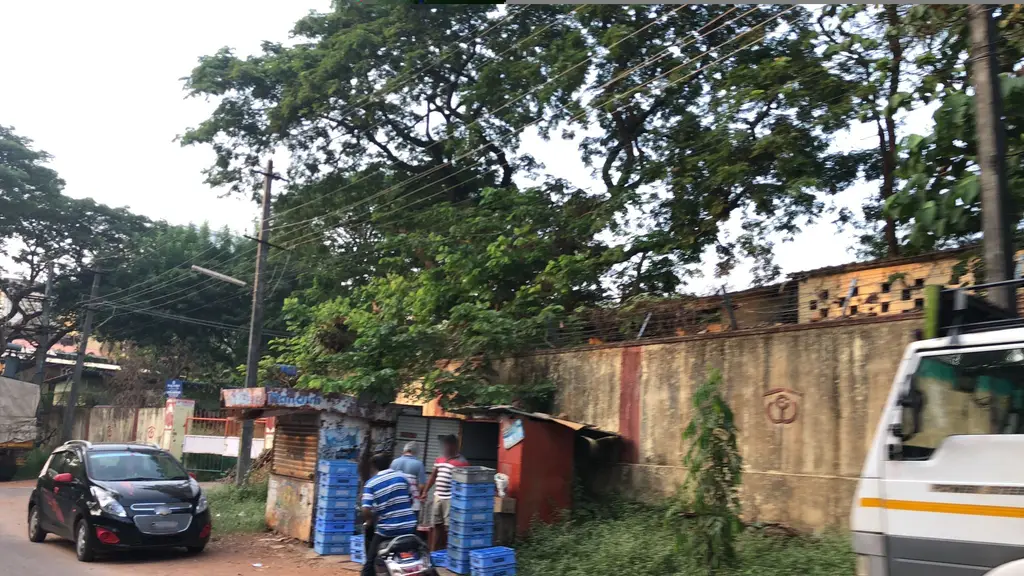 AMS Tours And Travels Mangalore