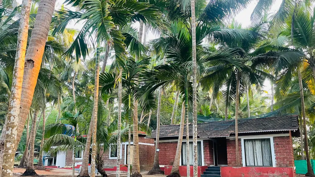 Radnyee Farm