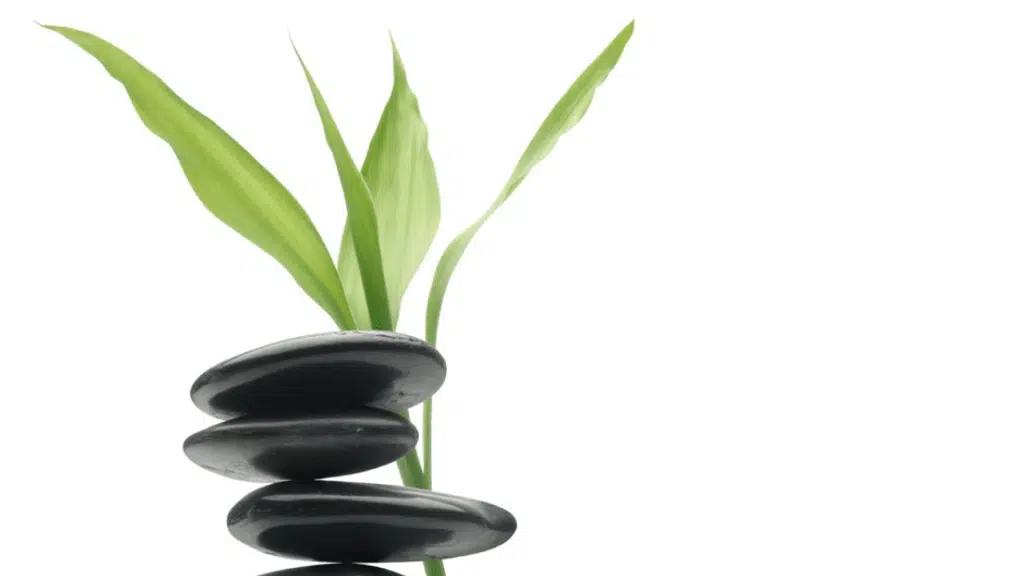 Dr Mehta's Homoeopathic Healing Centre