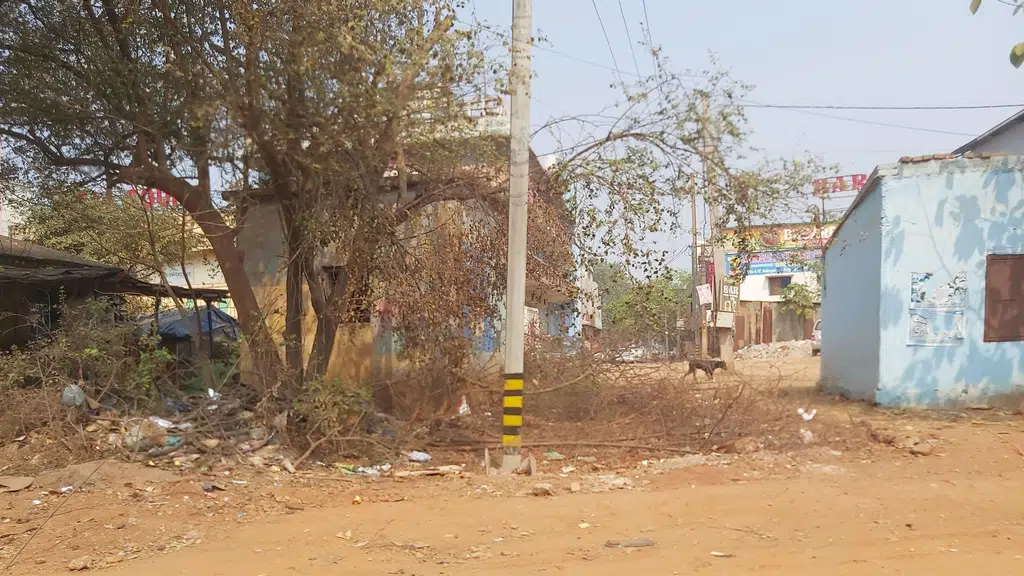 Goel Ply House
