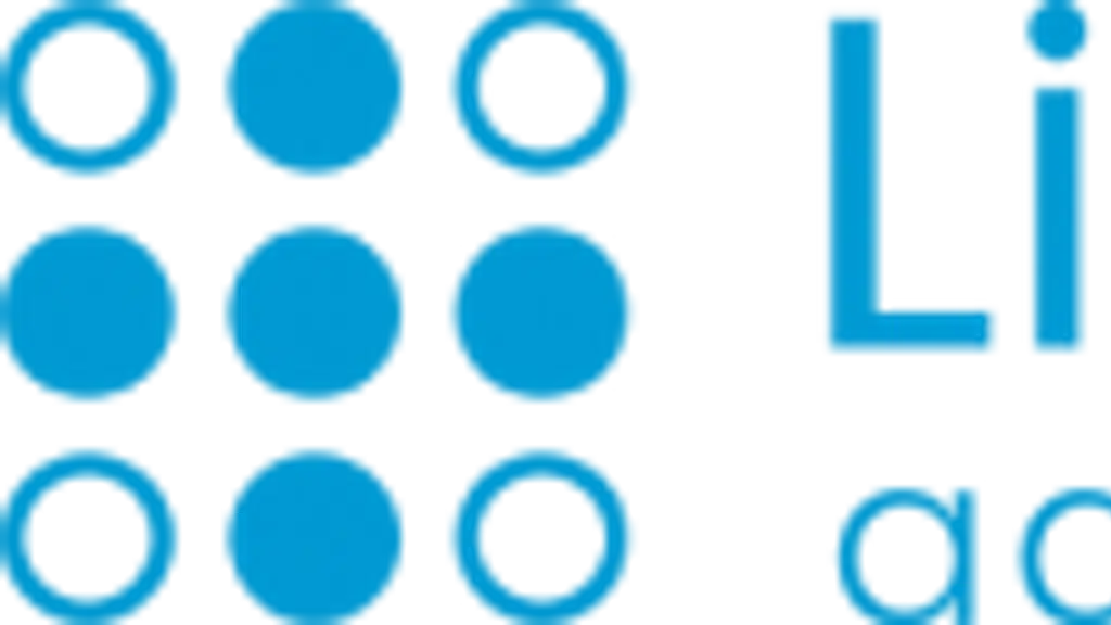 Lints Advisors - Accounting Service, Taxation, Bookkeeping Outsourcing Firm