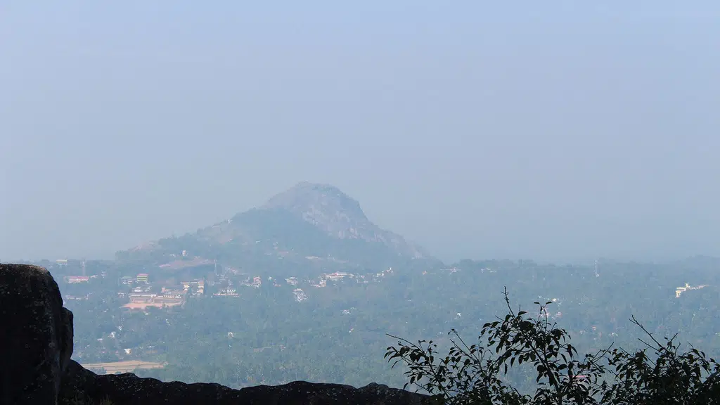 Arush Organics : Kerala Spices