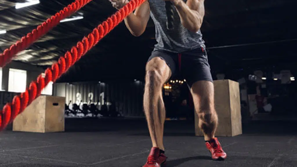 Fight 2 Fit Fitness Centre Kovilambakkam