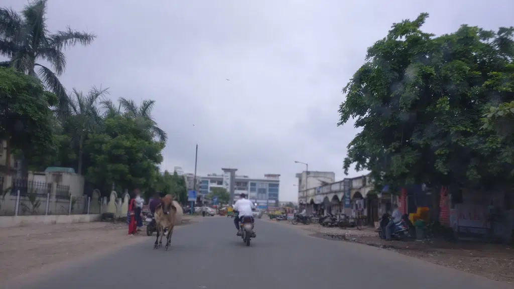 The Bapunagar Mahila Co-operative Bank Ltd.