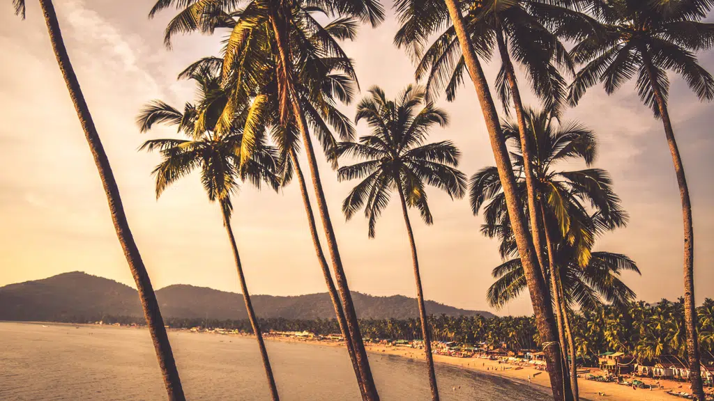 Travel Adventures Goa
