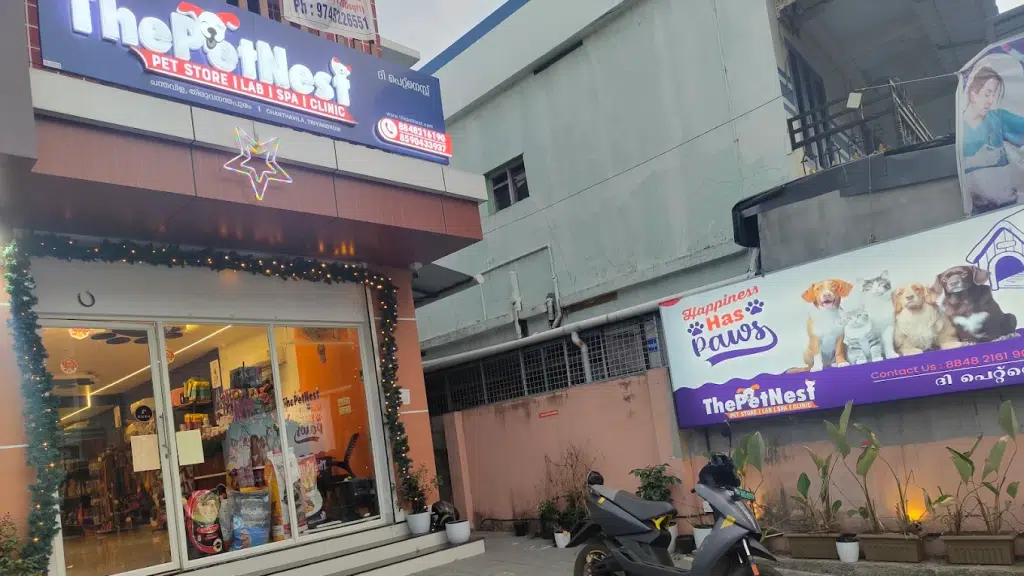 Petnest Kazhakkoottam 