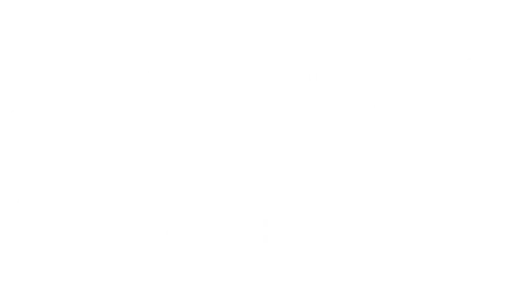 Wordpress Website Builder