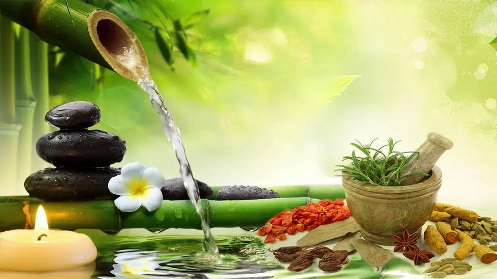 Dr. Lodha's Ayurvedic Panchakarma and Research Centre