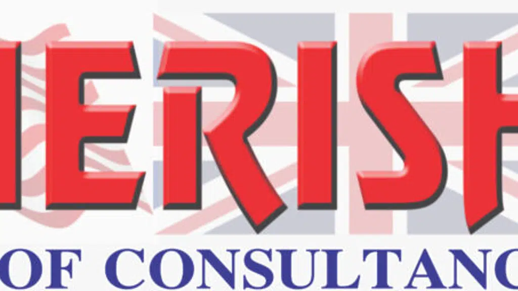 Amerish group of consultancy