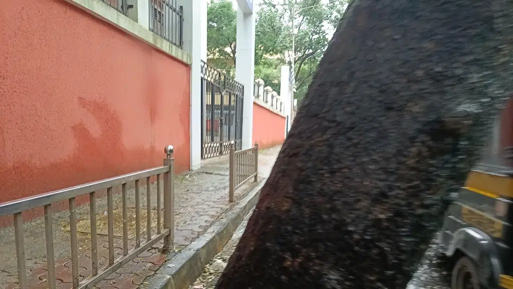 Vijay Nagar Garden