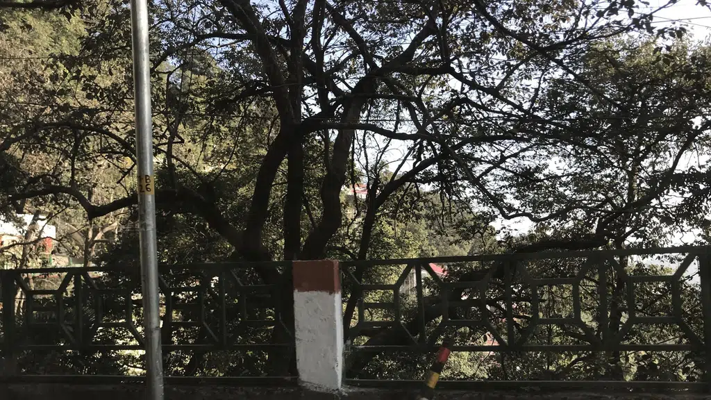 Shedup Choephilling Temple Mussoorie