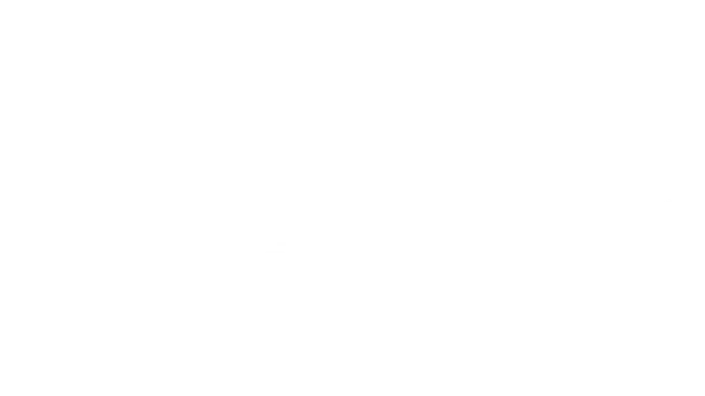 TheGymnast