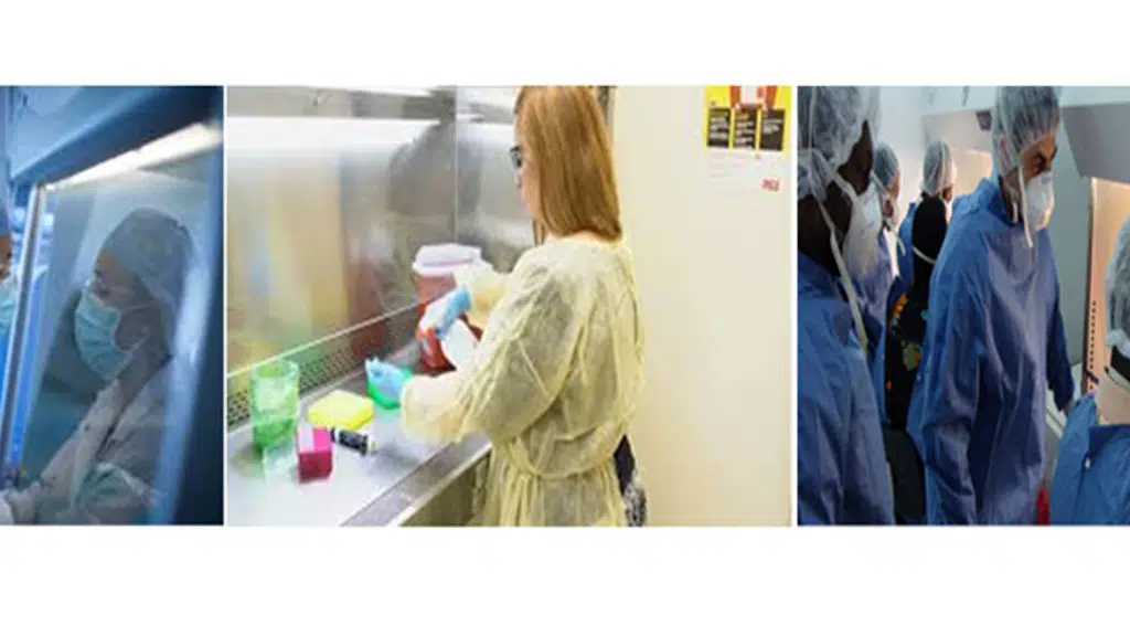 Biosafe Lab India Private Limited