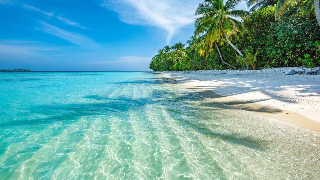 Don Hill Beach Resort