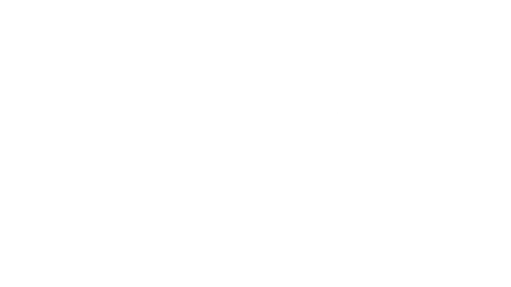 Prime Connect Services