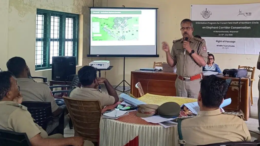 Wildlife Trust of India