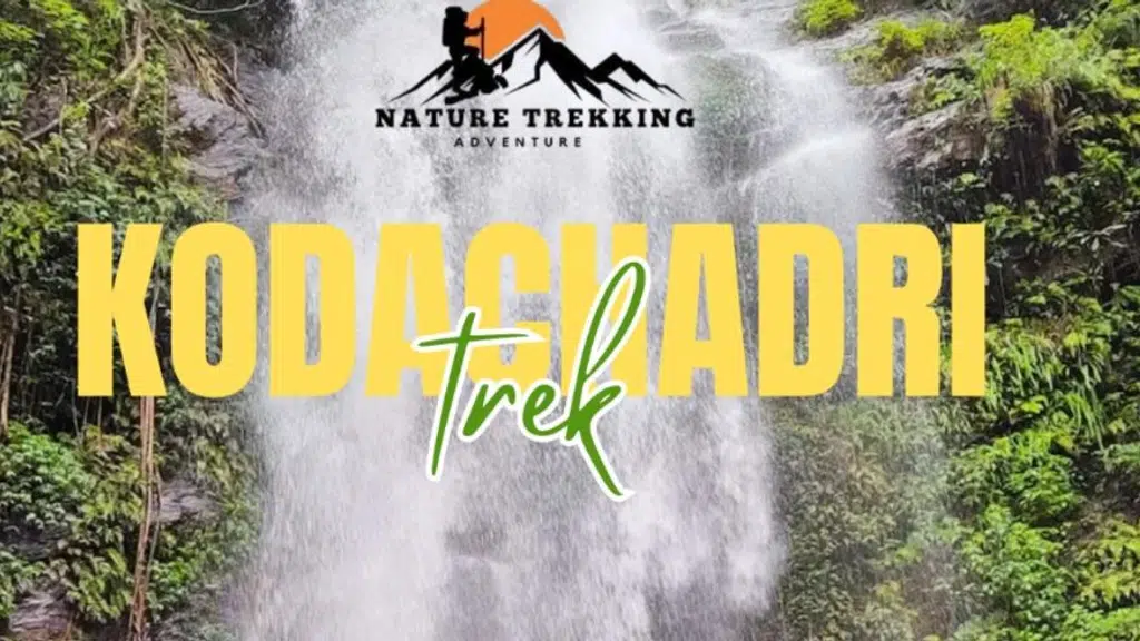 Nature trekking