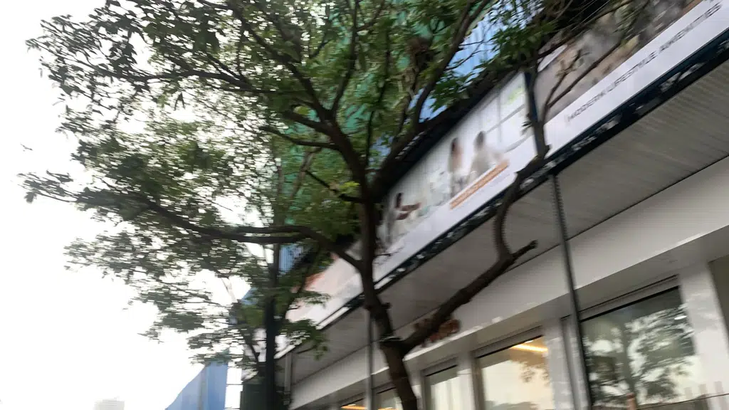 Shri Krishna Hindu Hotel
