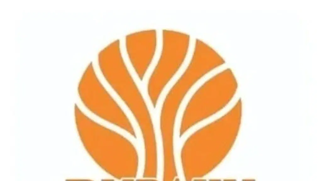 D sports enterprise