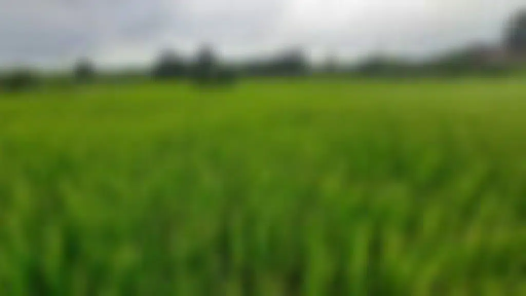EcoKrishi Solutions