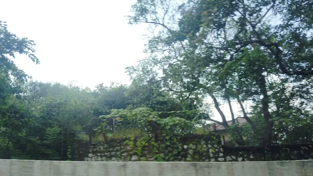 State Bank Of India