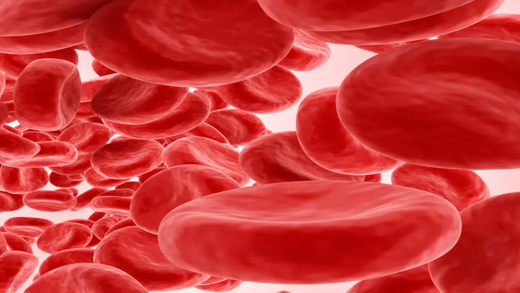 Dr. Lalit Mohan Sharma - Best Oncologist , Oncologist Specialist