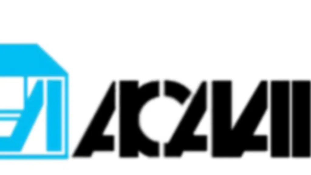 The Air Cargo Agents Association Of India