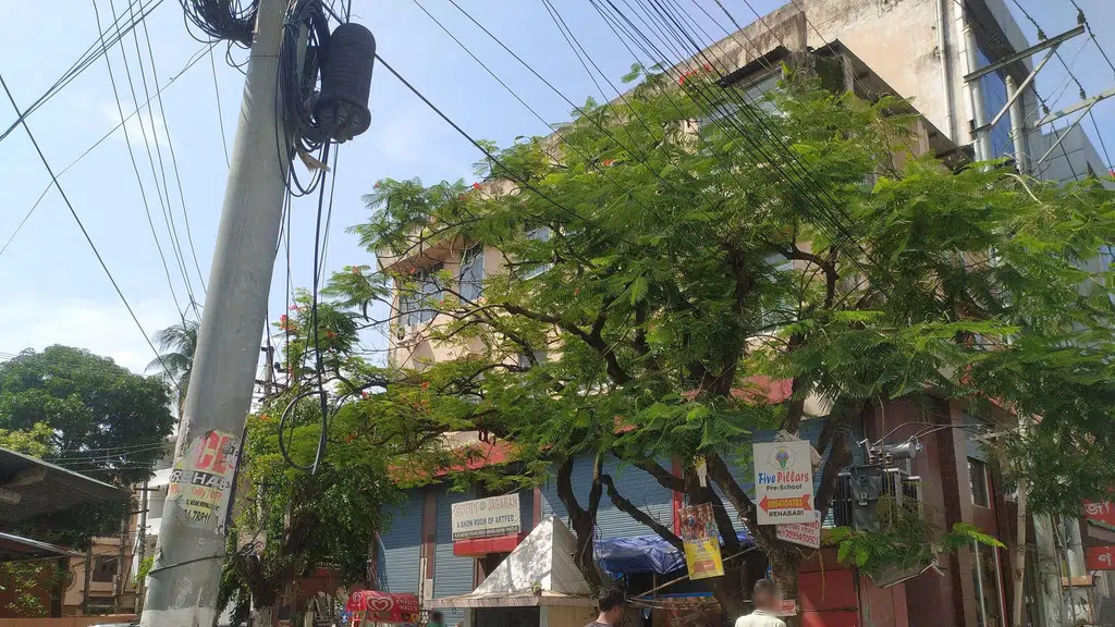 Dr Ashok Kayal Chamber