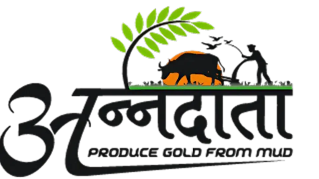 Anndata Food Company