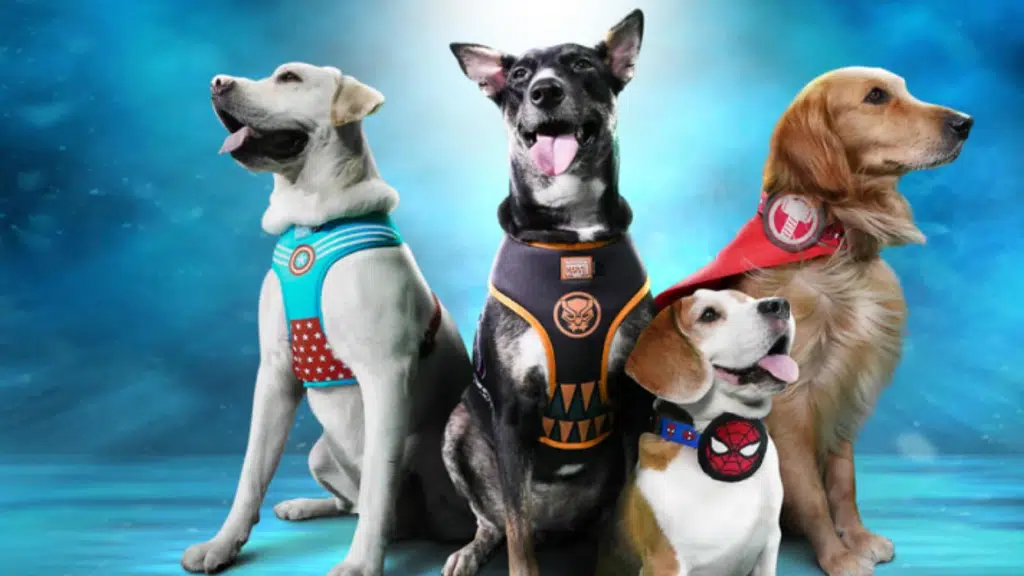 Heads Up For Tails Pet Store & Spa - Golf Course Rd, DLF Phase- 1, Gurgaon