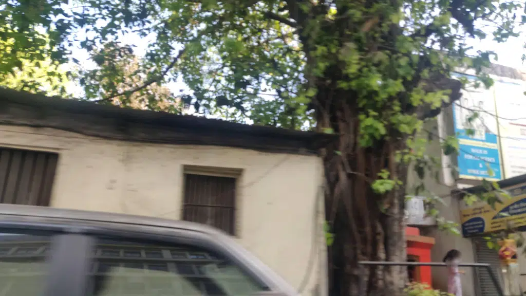 Arkshuddha Lakdi Ghana Oil