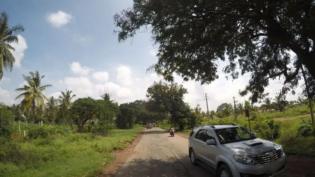 Rosy Royal Group of Institutions