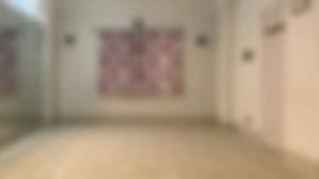 Kids Dance House