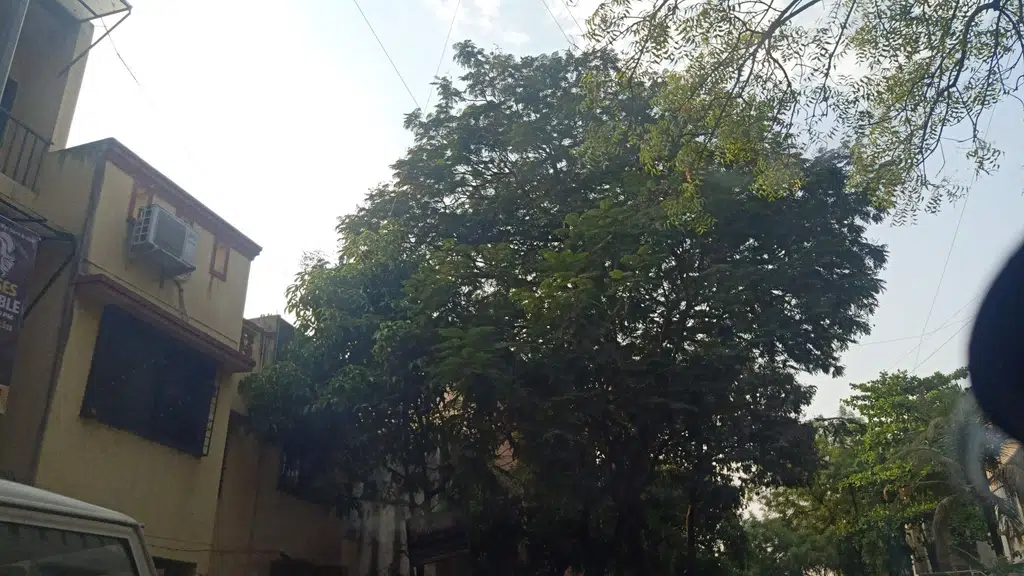 Mangudkar Hospital