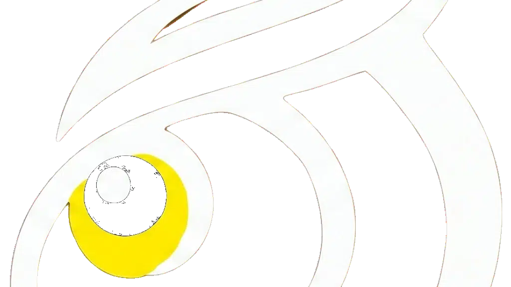Owls Eye Surveillance System