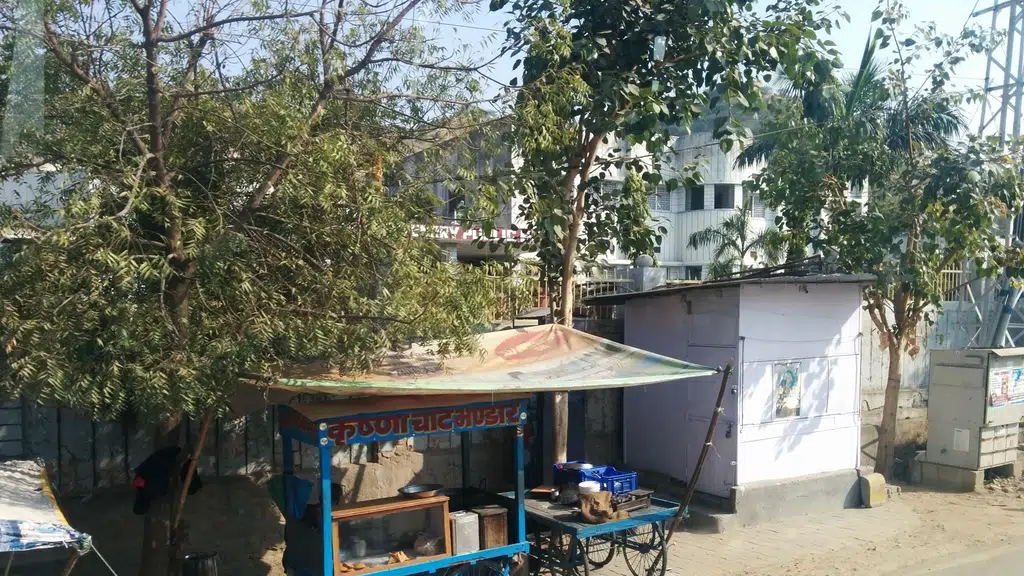 Canvas International  Pre School  Ajmer