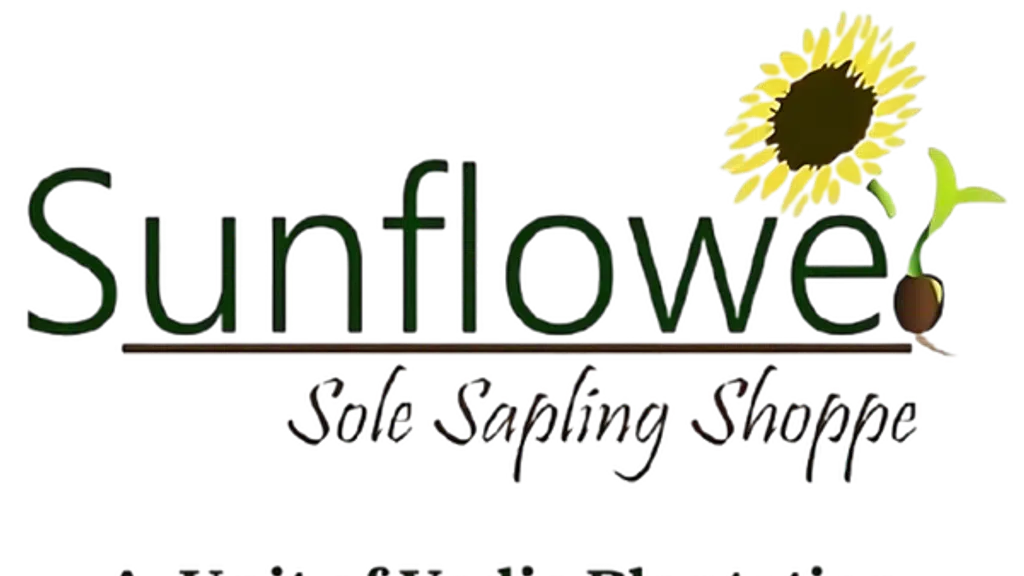 Sunflower Sole Sapling Shoppe