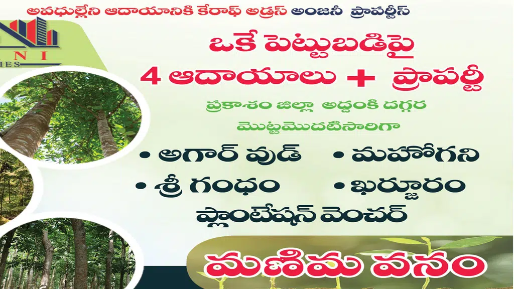 Anjani Properties