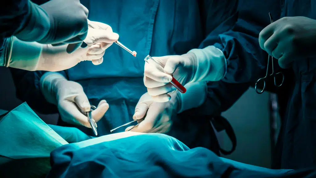 Tulip Institute of Laparoscopic Learning & Training Center