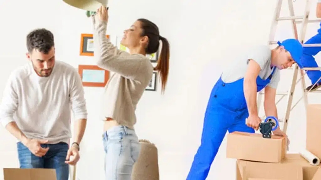 Chandigarh Relocation Companies
