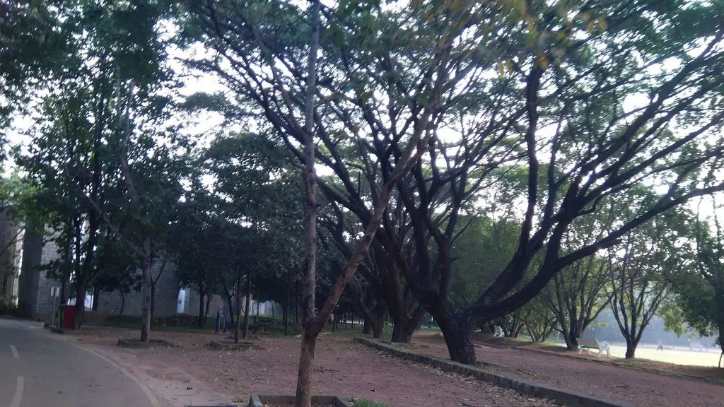 IIMB Sports Field