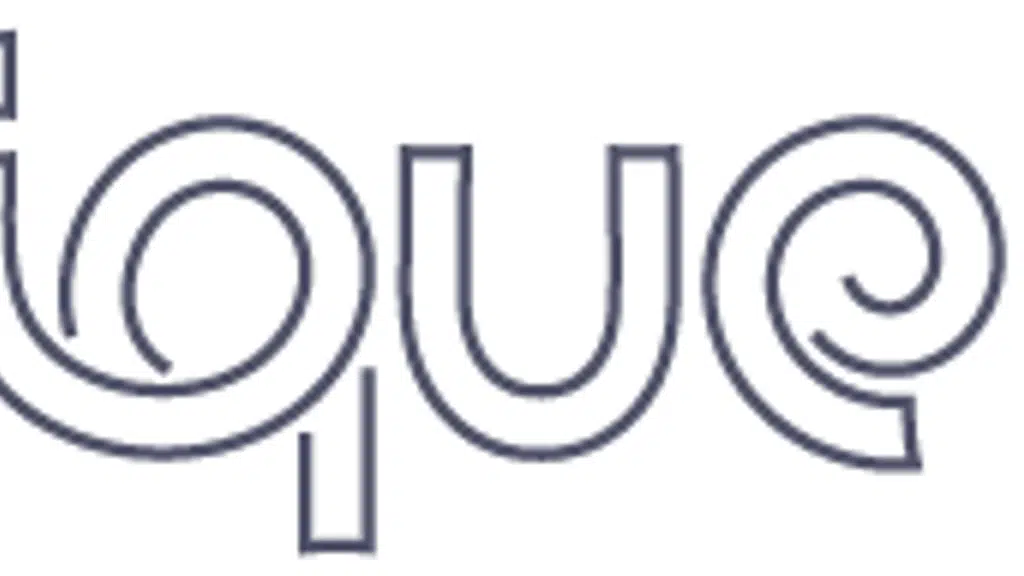 Clique Tours and Travels