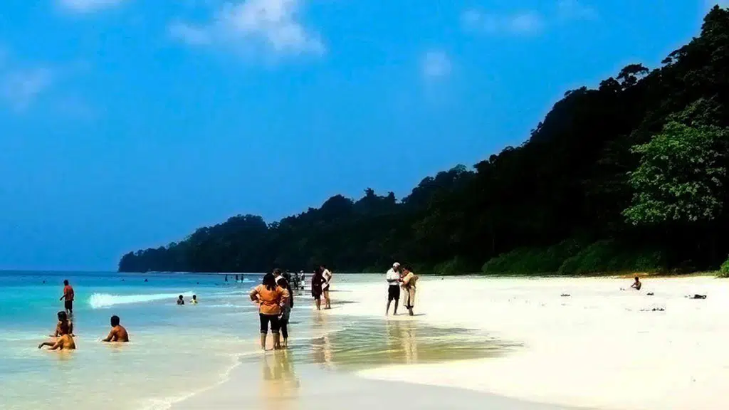Andaman Amazed Tour & Travels