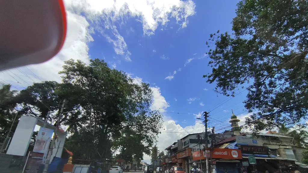 Lodhra Ayurvedic center 