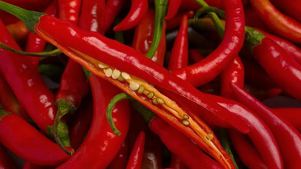 Mane Kancor Ingredients Private Limited