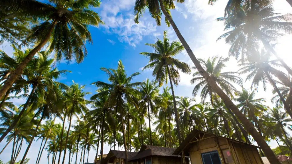 Holiday Resort Bhandardara